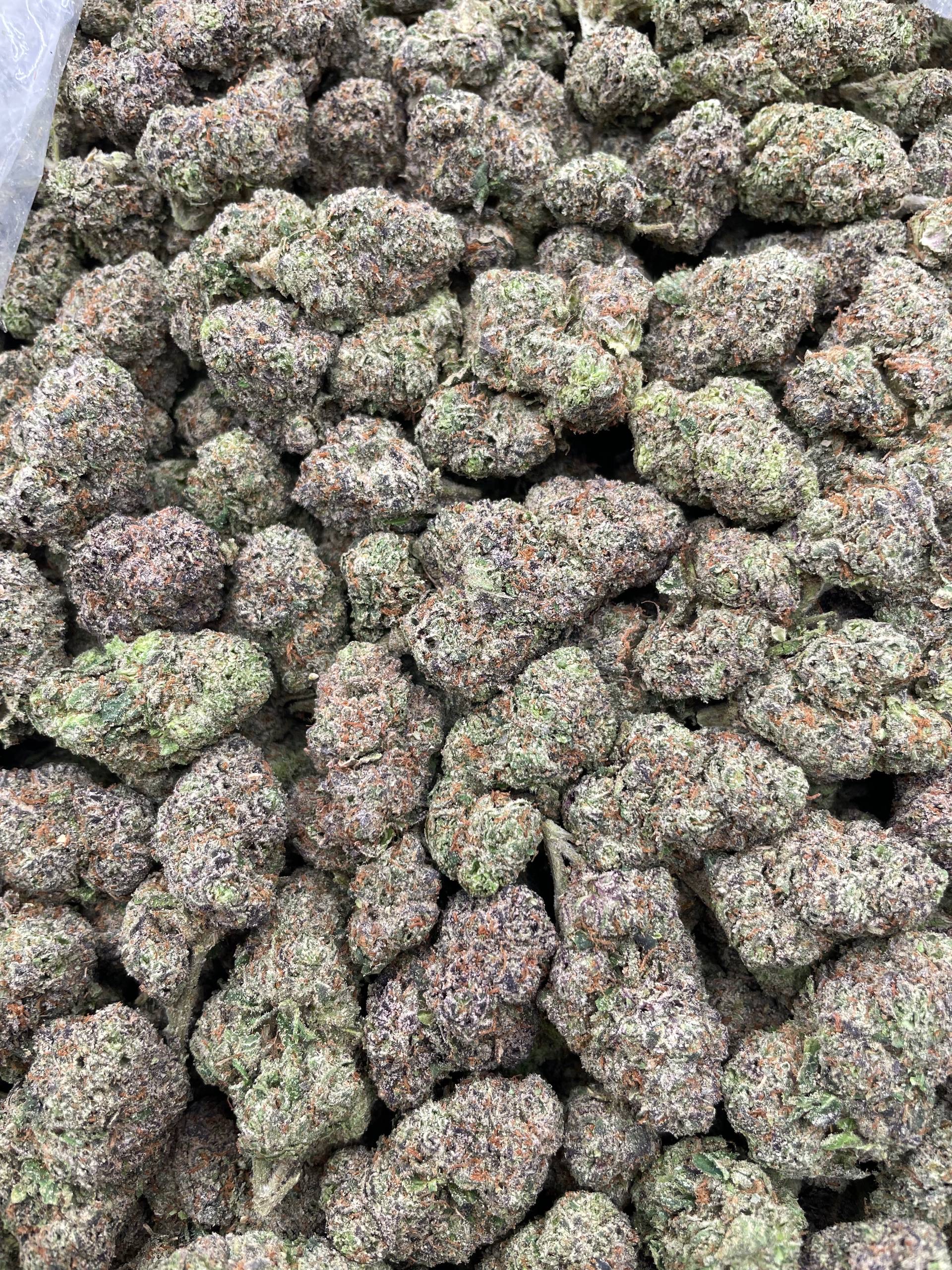 #PG38A ๐ฌ Lemon Drop ๐