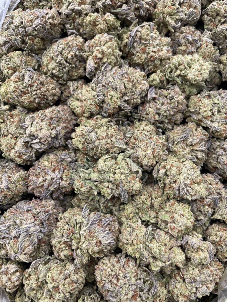 #PG39B 🍦 Sundae Driver 🍨
