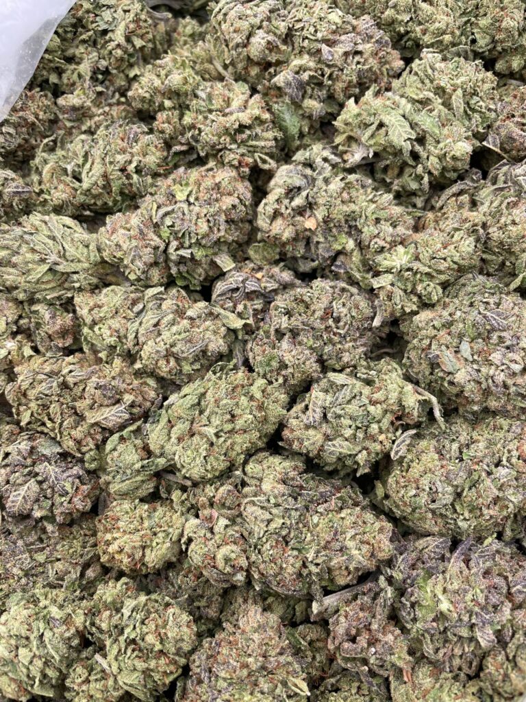 #PG3A 🫟 Sour Ooze 🍭