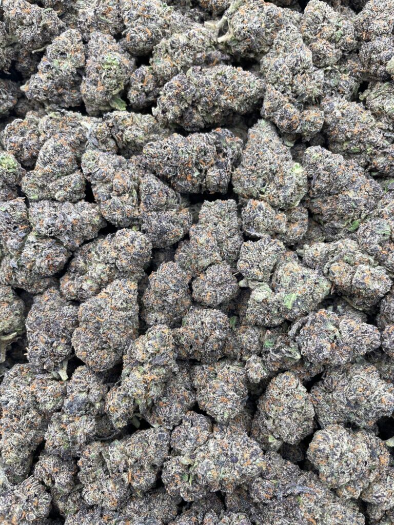 #PG4C ⛽️ Tropicana Runtz 🌴