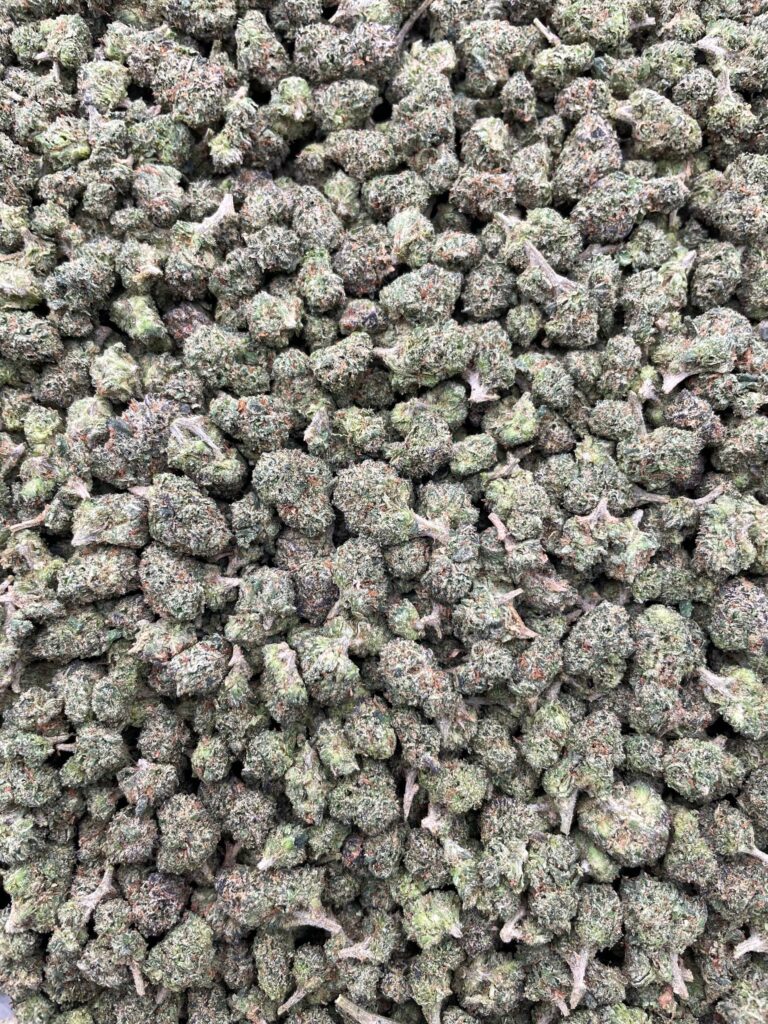 #PG5B 👊🏻 Sour Punch Bites Smalls 🍬