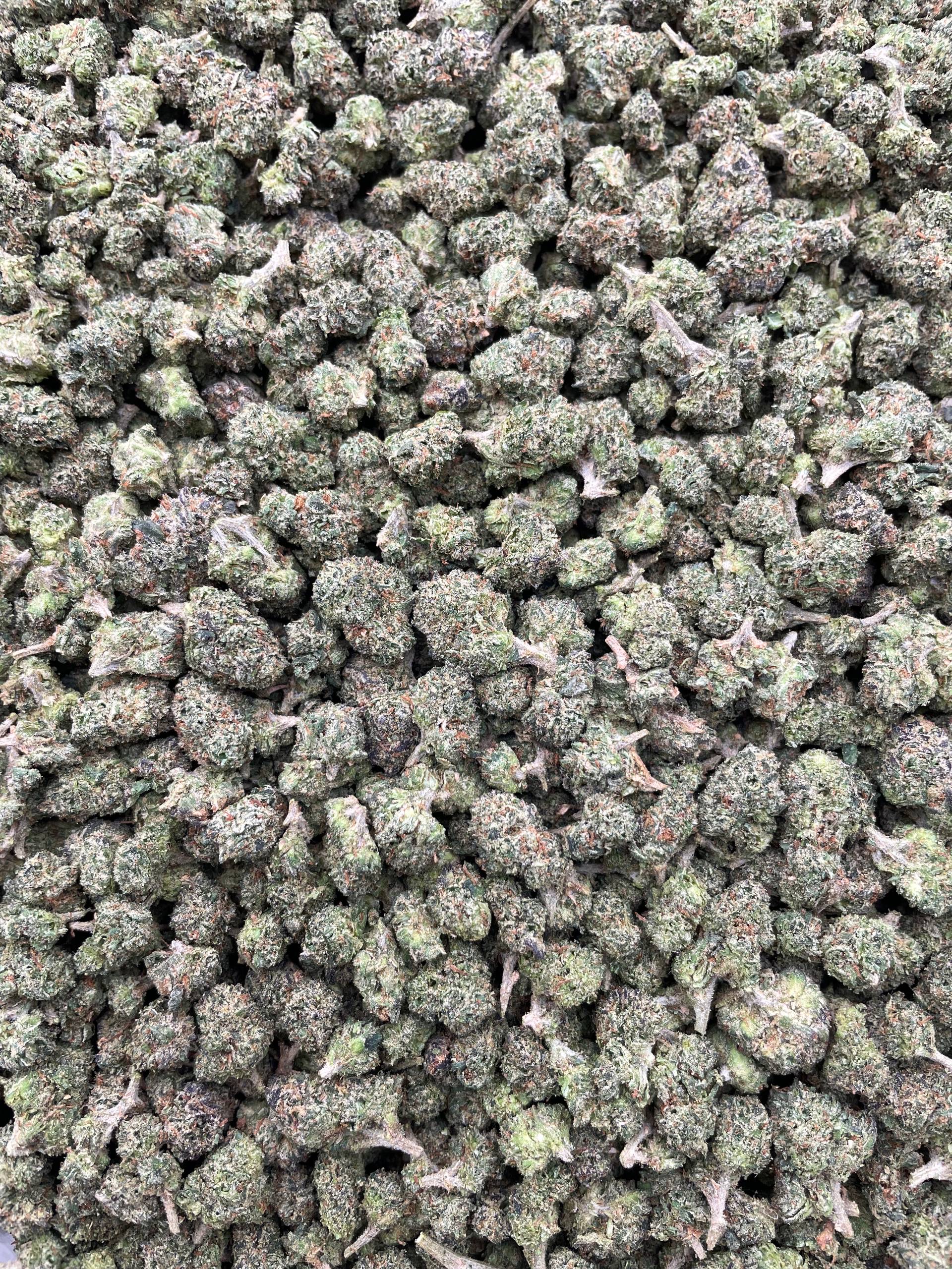 #PG5B 👊🏻 Sour Punch Bites Smalls 🍬