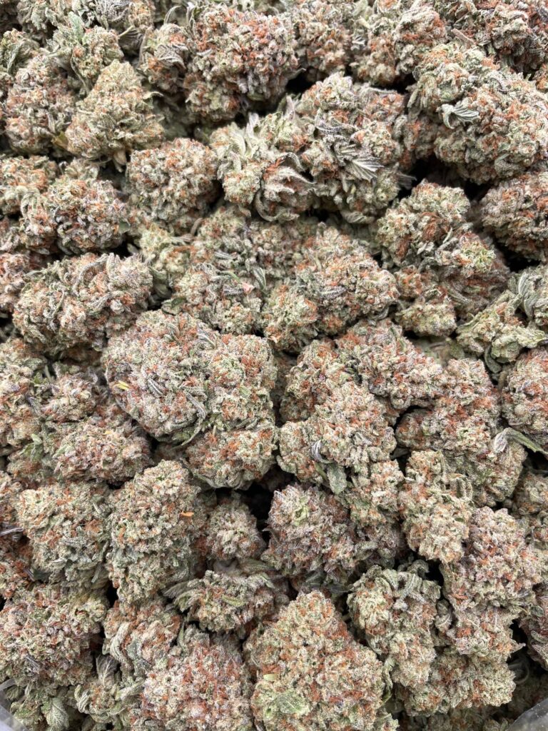 #PH23A 🍦 Gelatti Cream 🍨