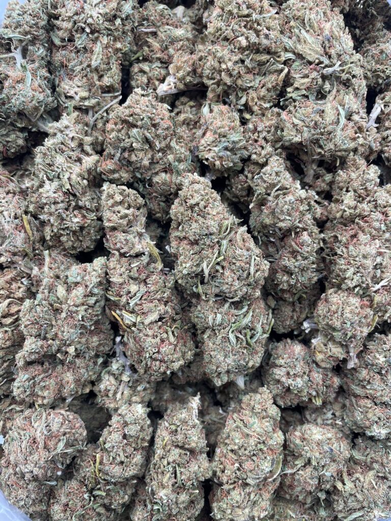 #PH27A 🍋 Lemon Jet Fuel 🛩️