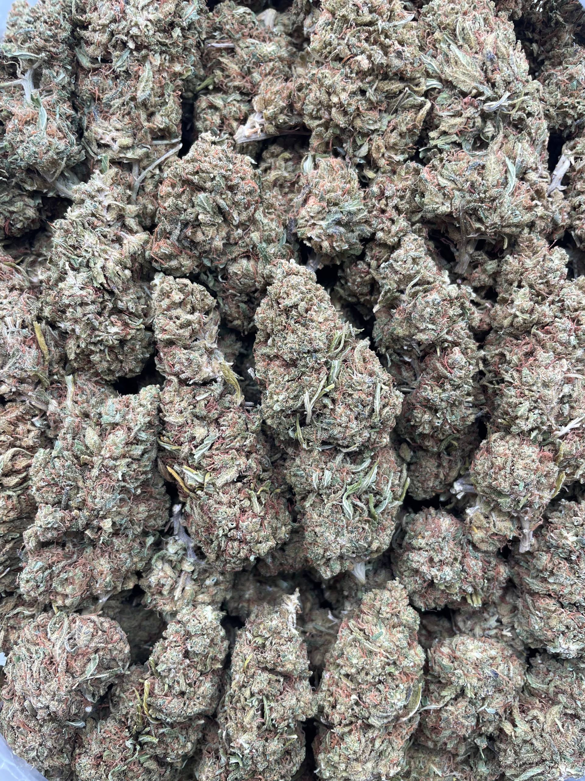 #PH27A 🍋 Lemon Jet Fuel 🛩️