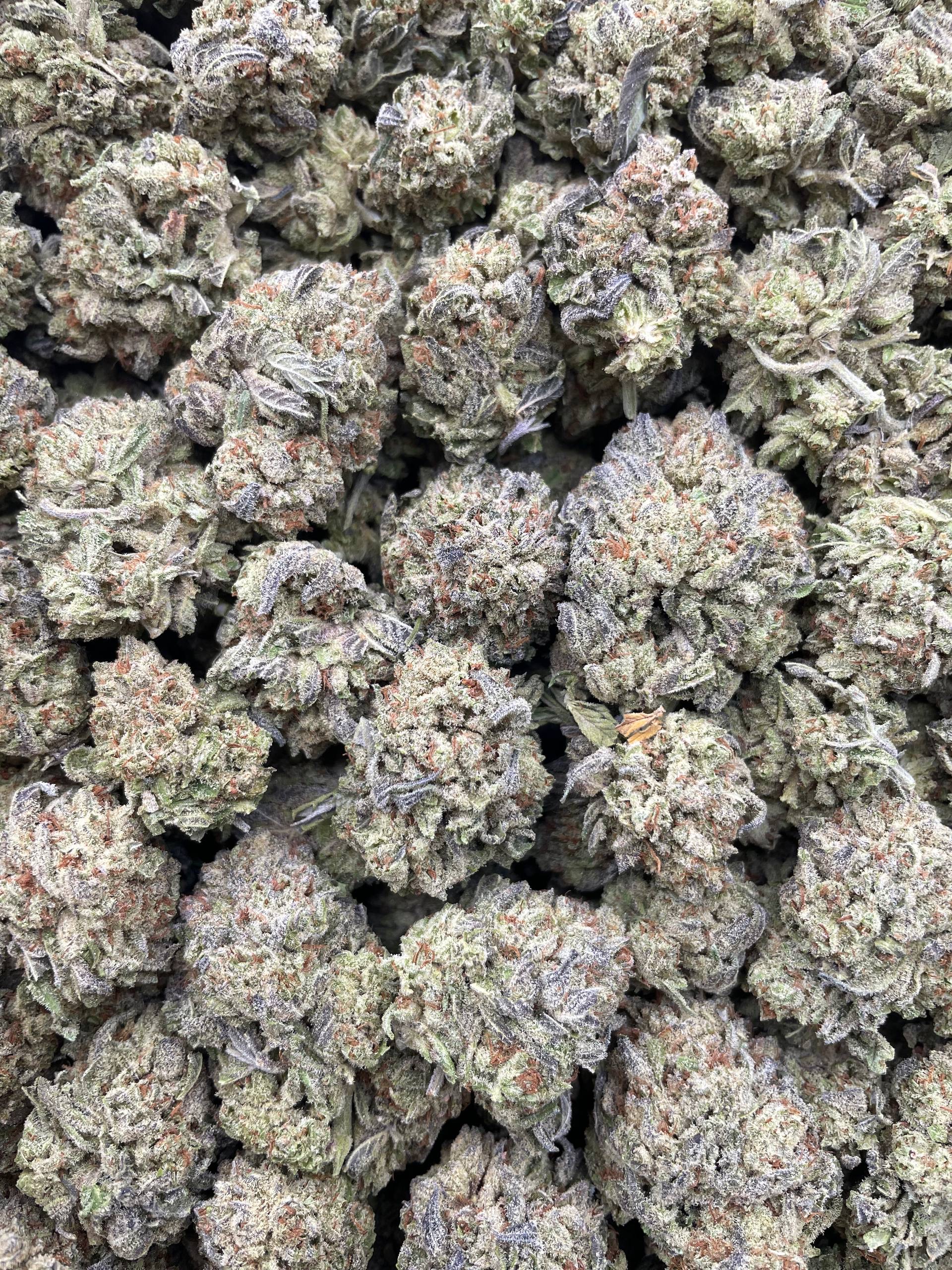 #PH29C ⛽️ Soft Serve 🍦