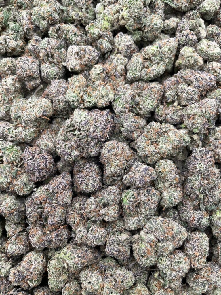 #PH31A 😋 Bubbleyum 🍭