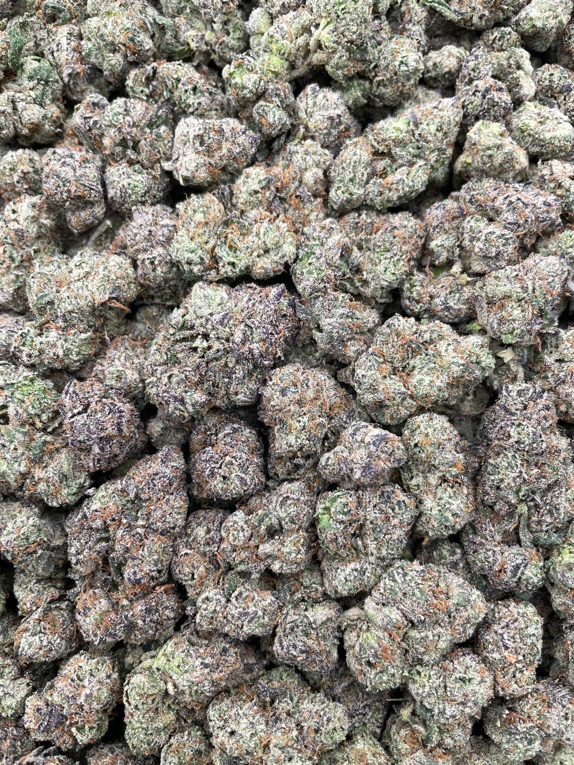 #PH31A ๐ Bubbleyum ๐ญ