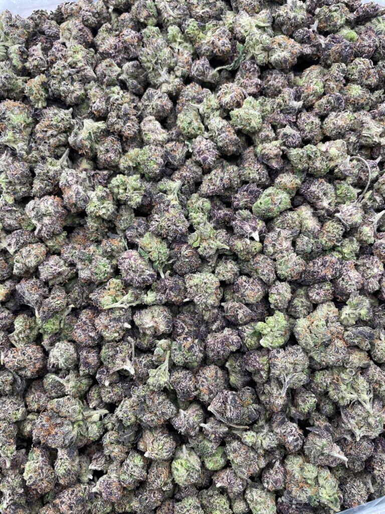 #PH35A 🍬 Pucker Ups Smalls 💋