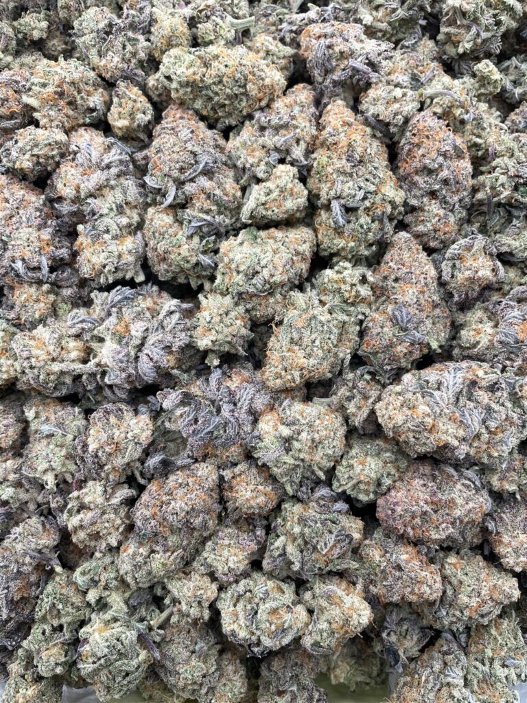 #PH5A ⛽️ Mac Sauce 🍦