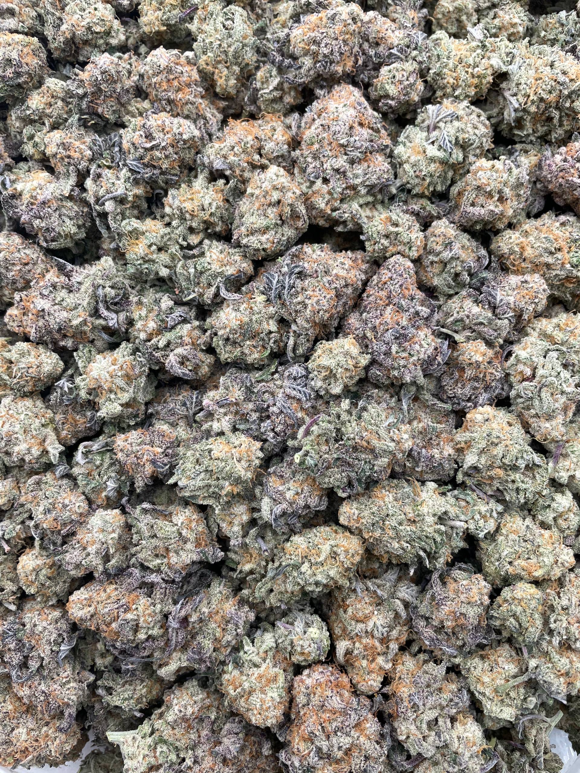 #PH6B ⛽️ Mac Attack 🍦