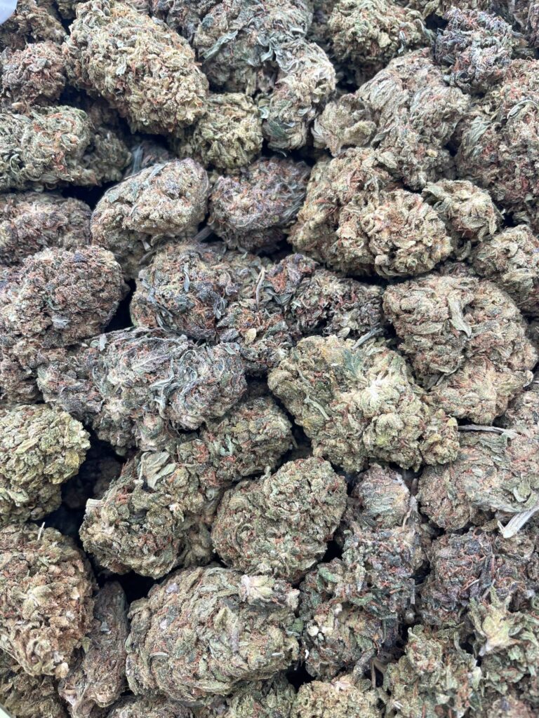 #PL11B ⛽️ Lemon Chem 🍋