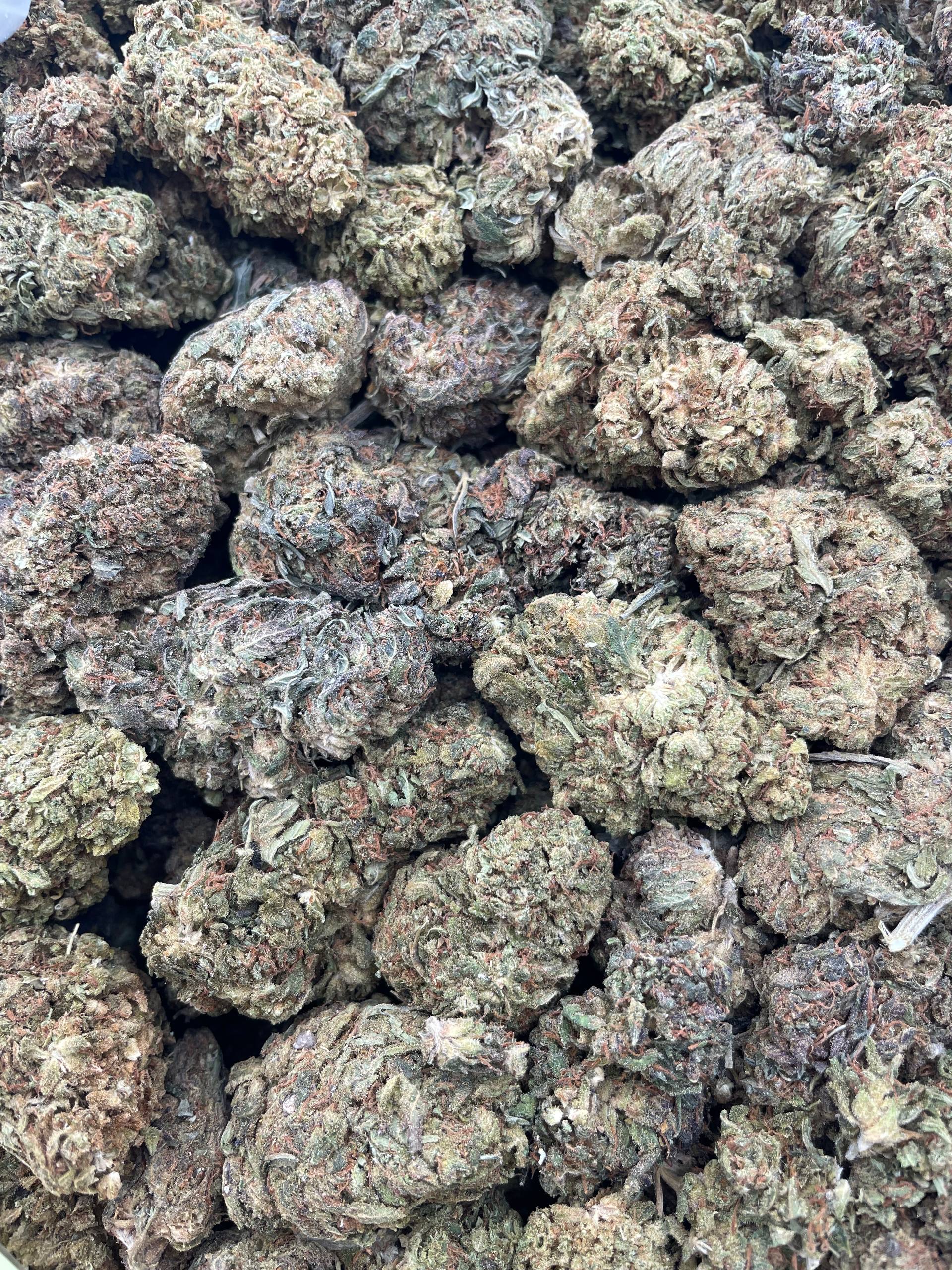 #PL11B ⛽️ Lemon Chem 🍋