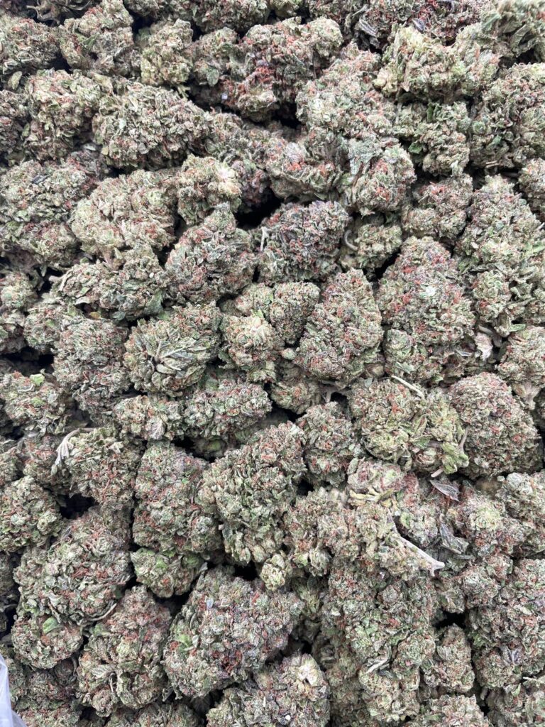 #PL12A 🍭 Sour Patches 🍬