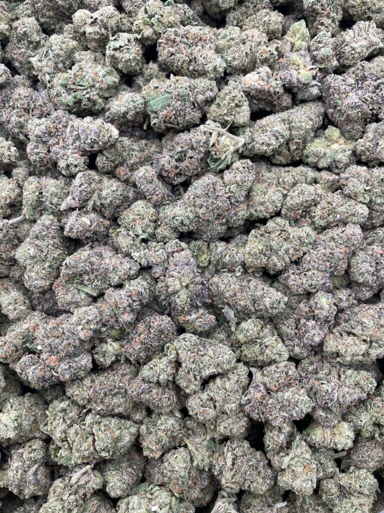 #PL13C ⛽️ Gas and Berries 🫐