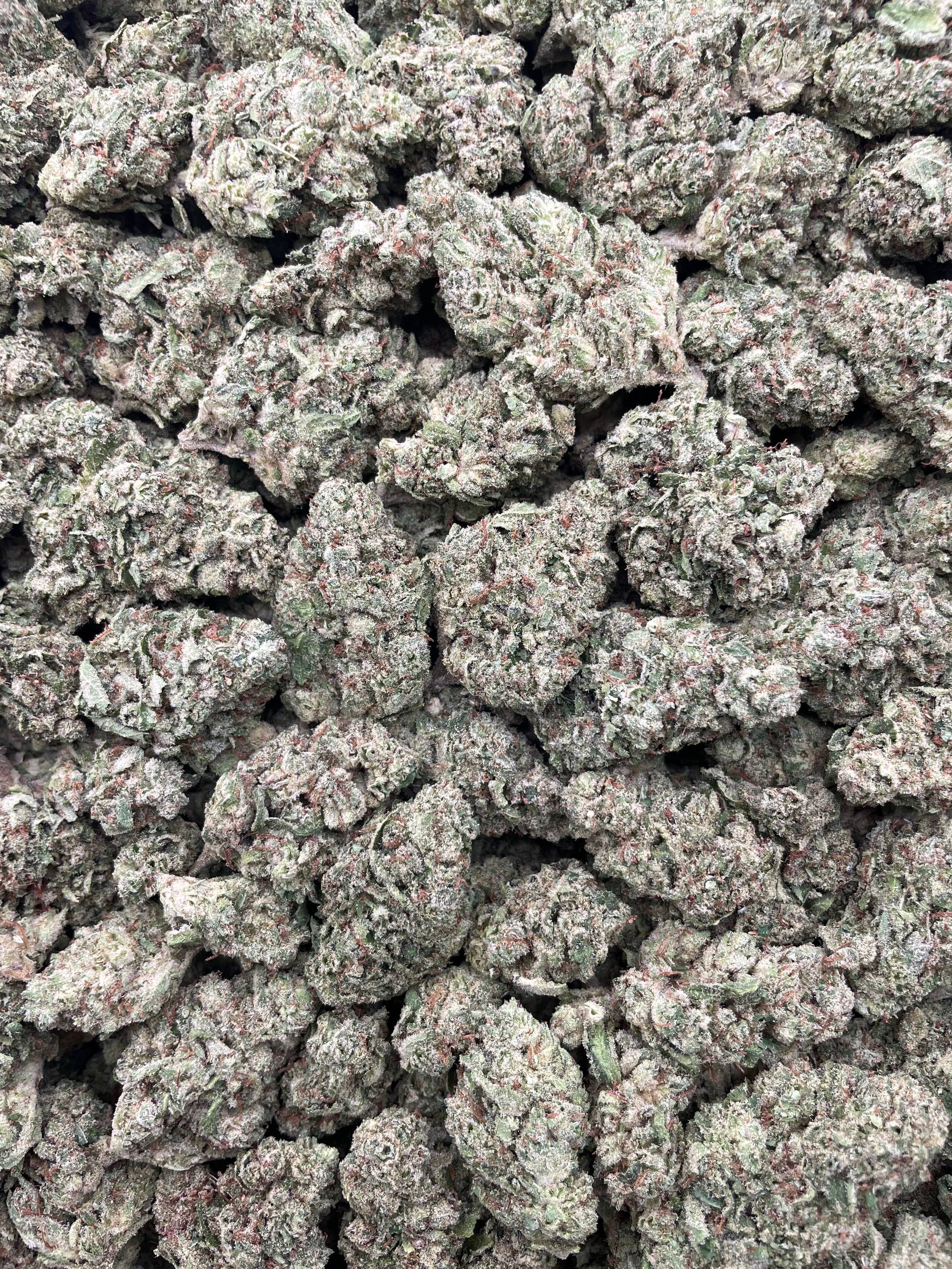 #PL18C ⛽️ Chem Dog Kush 🍋