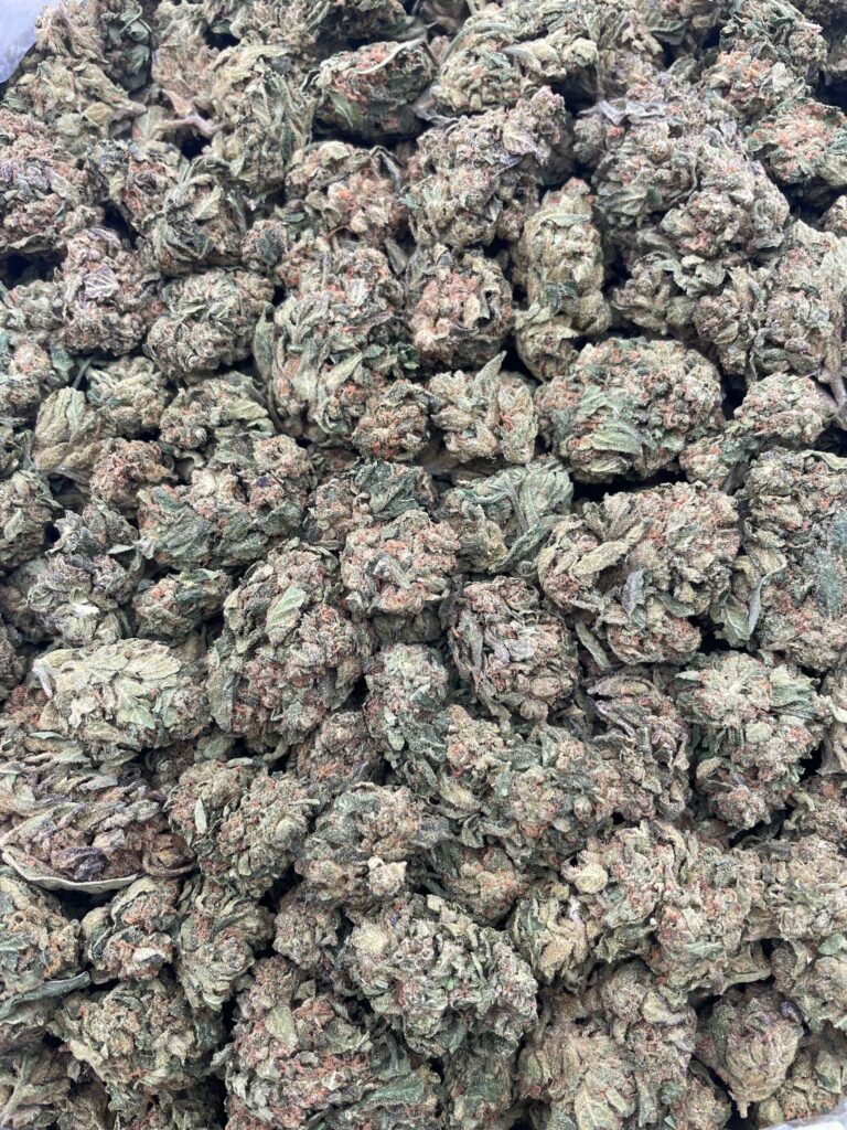 #PL27C 💨 Iran Gastropop ⛽️
