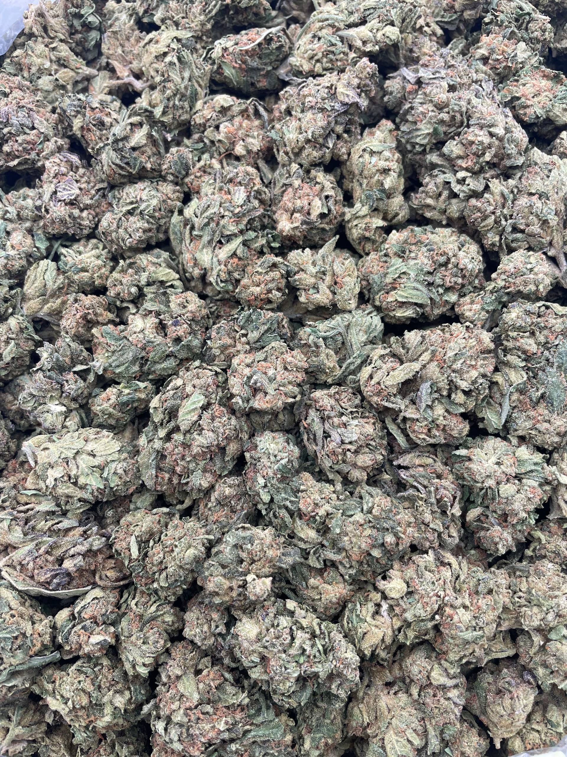 #PL27C 💨 Iran Gastropop ⛽️