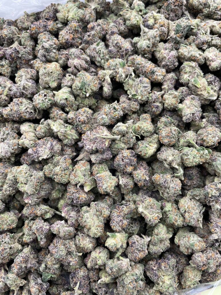 #PL29A 🍬 Pink Panties Runtz Shmediums 🩲