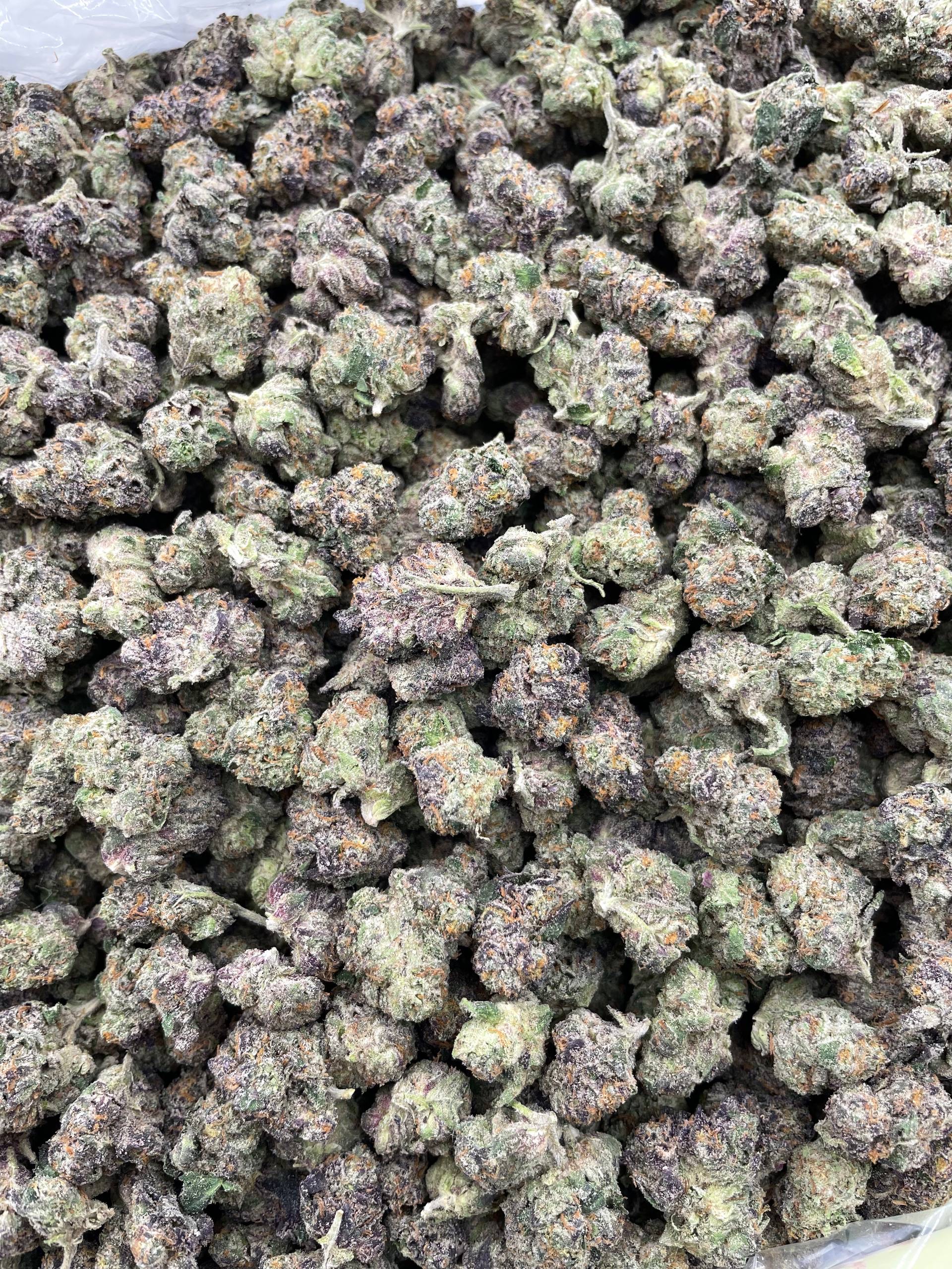 #PL29A 🍬 Pink Panties Runtz Shmediums 🩲