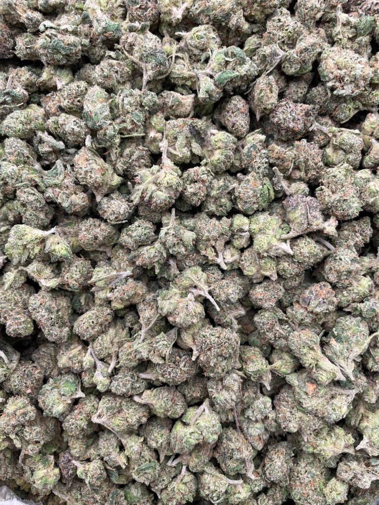 #PL37B 🍒 Lemon Cherry Crack Smalls 🍋