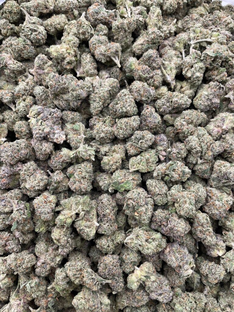 #PL39A 🥧 Lemon Cherry Pie Shmediums 🍒