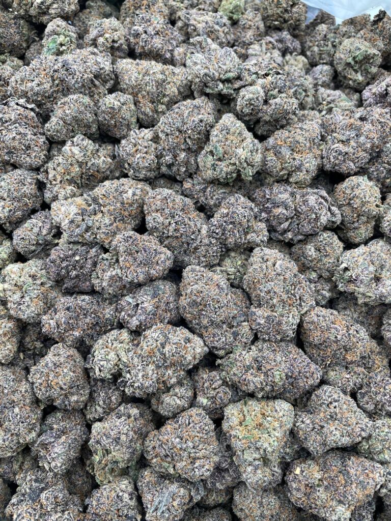 #PL4C 🍬 Cherrylato 🍒