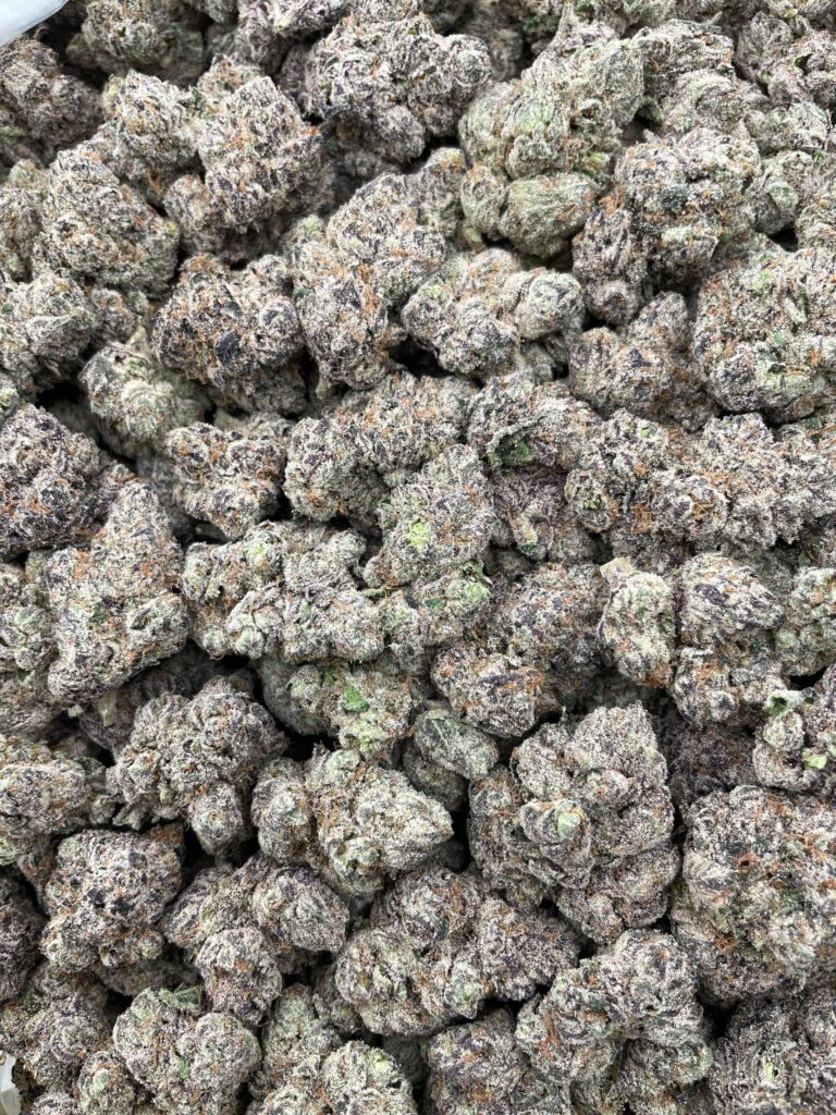 #PR43Y 🍬 Dubble Bubblegum 🍭