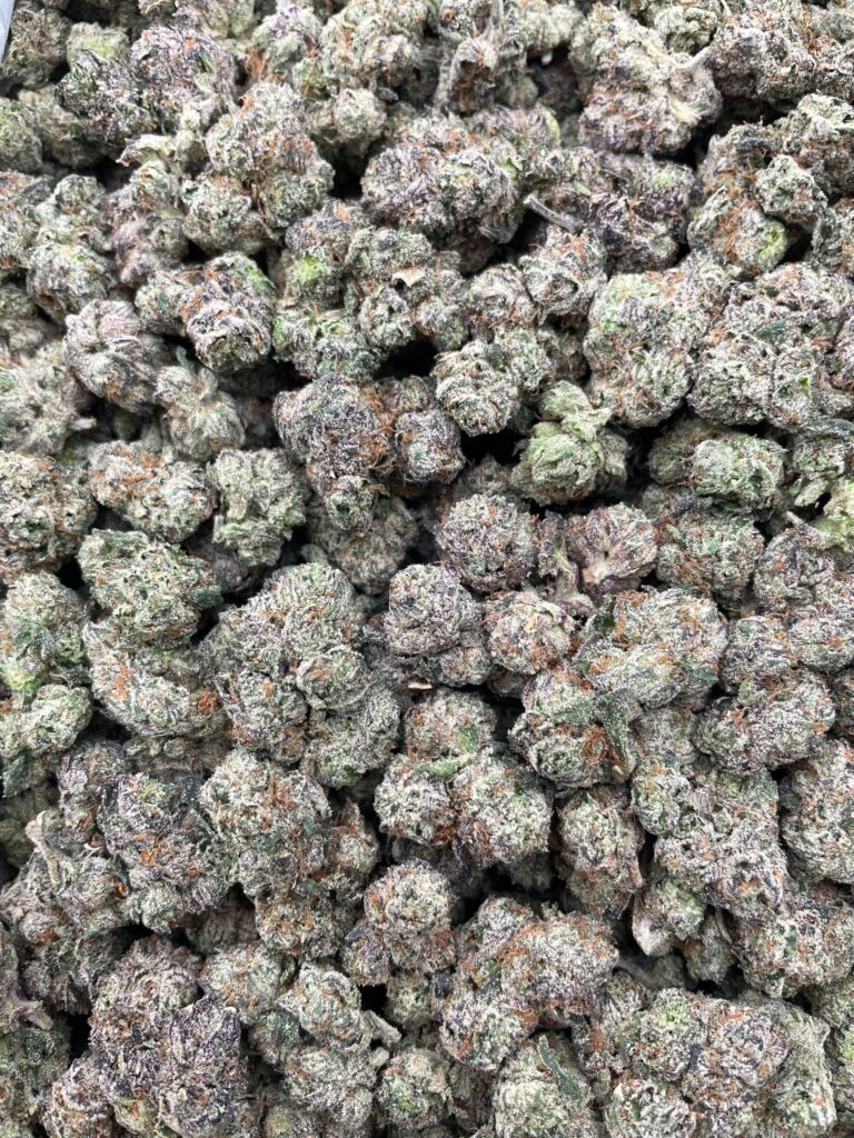 #PR5A 🍬 Sugar Candy 🍭