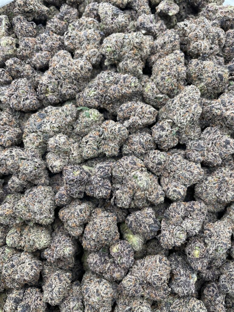 #PR65T 🍬 Tropical Bursts 🌴