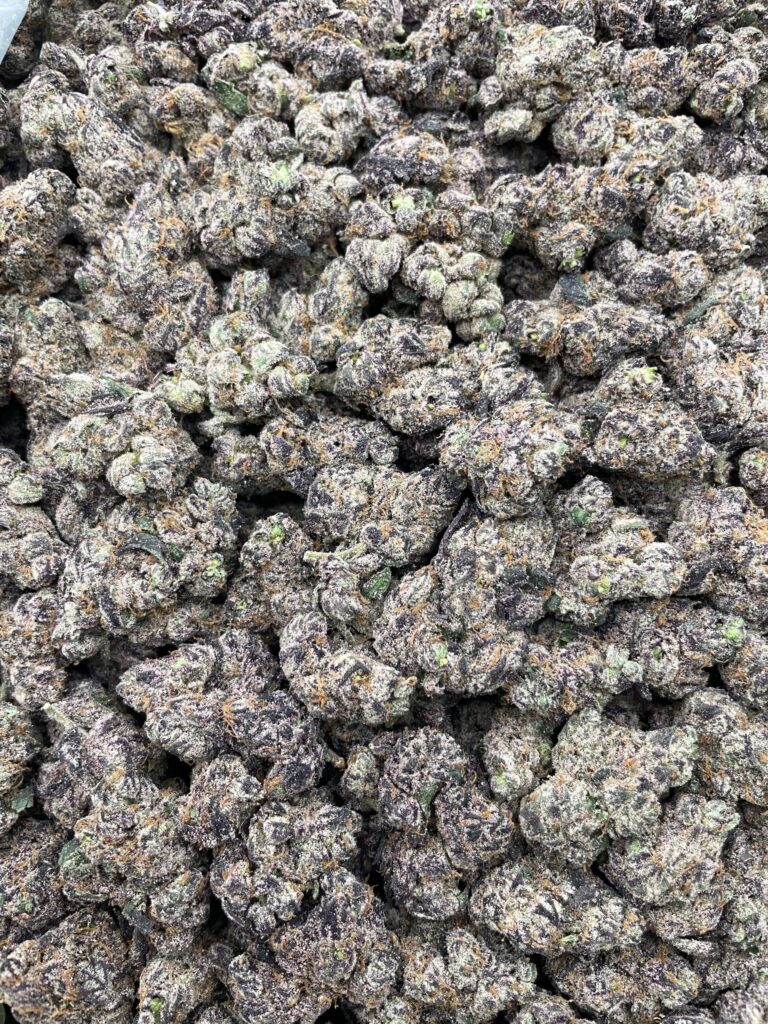 #PR67Y ⛈️ Lemon Storm 🍋