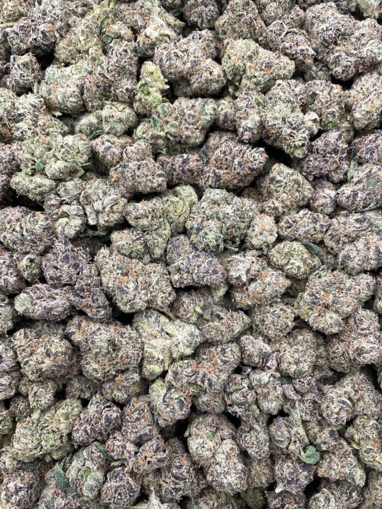 #PR68X 🍬 Zour Ooze Chews Mediums 🍭