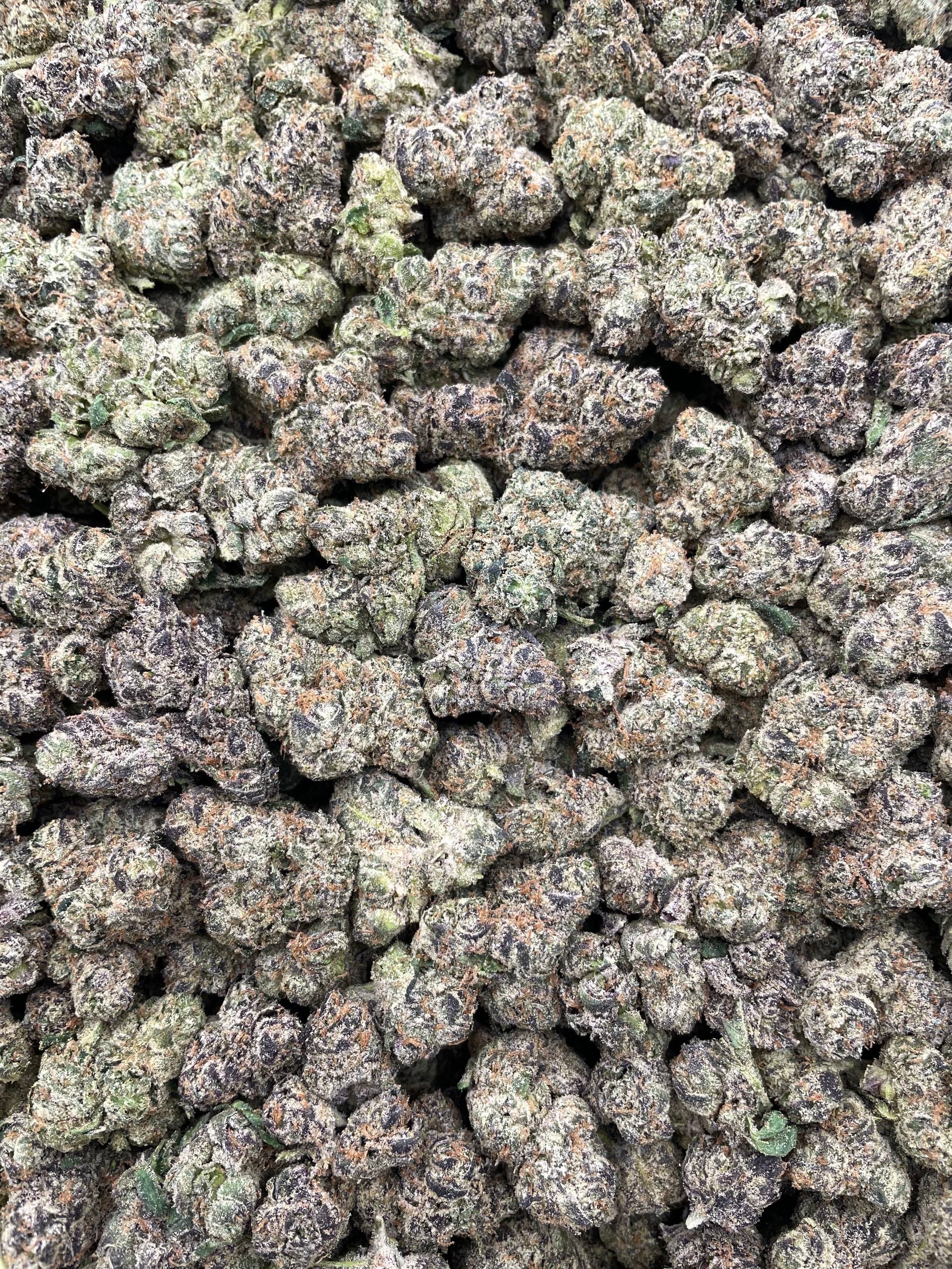 #PR68X ๐ฌ Zour Ooze Chews Mediums ๐ญ