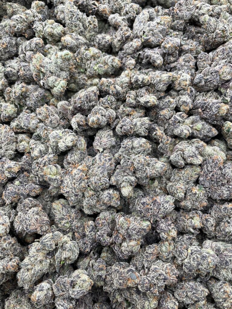 #PR90X 🍬 Wild Berry Juicy Drop Gummies 🫐