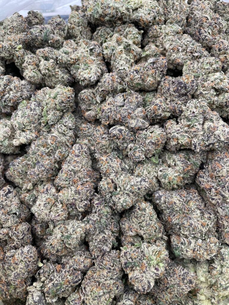 #PR94X 😡 Grape Rage Gummies 🍇
